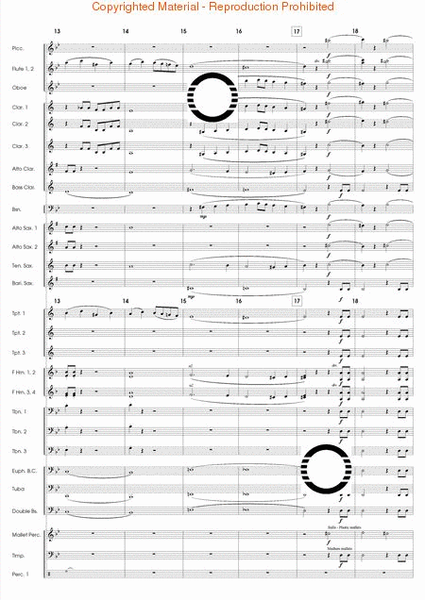Symphony No. 40 - Mmt. I Excerpts image number null