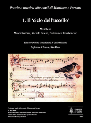 Book cover for Poetry and music at the courts of Mantua and Ferrara - 1. ‘Bird Music’. Critical edition