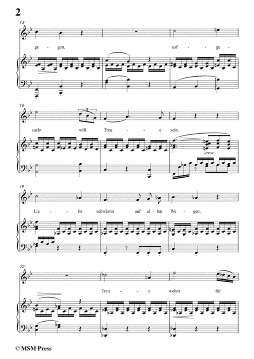 Schubert-Liebe schwärmt auf allen Wegen,in B flat Major,for Voice&Piano image number null