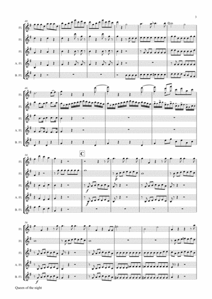 The Magic Flute Queen of the night - KV 620 W.A.Mozart - Flute Quintet - E-Minor