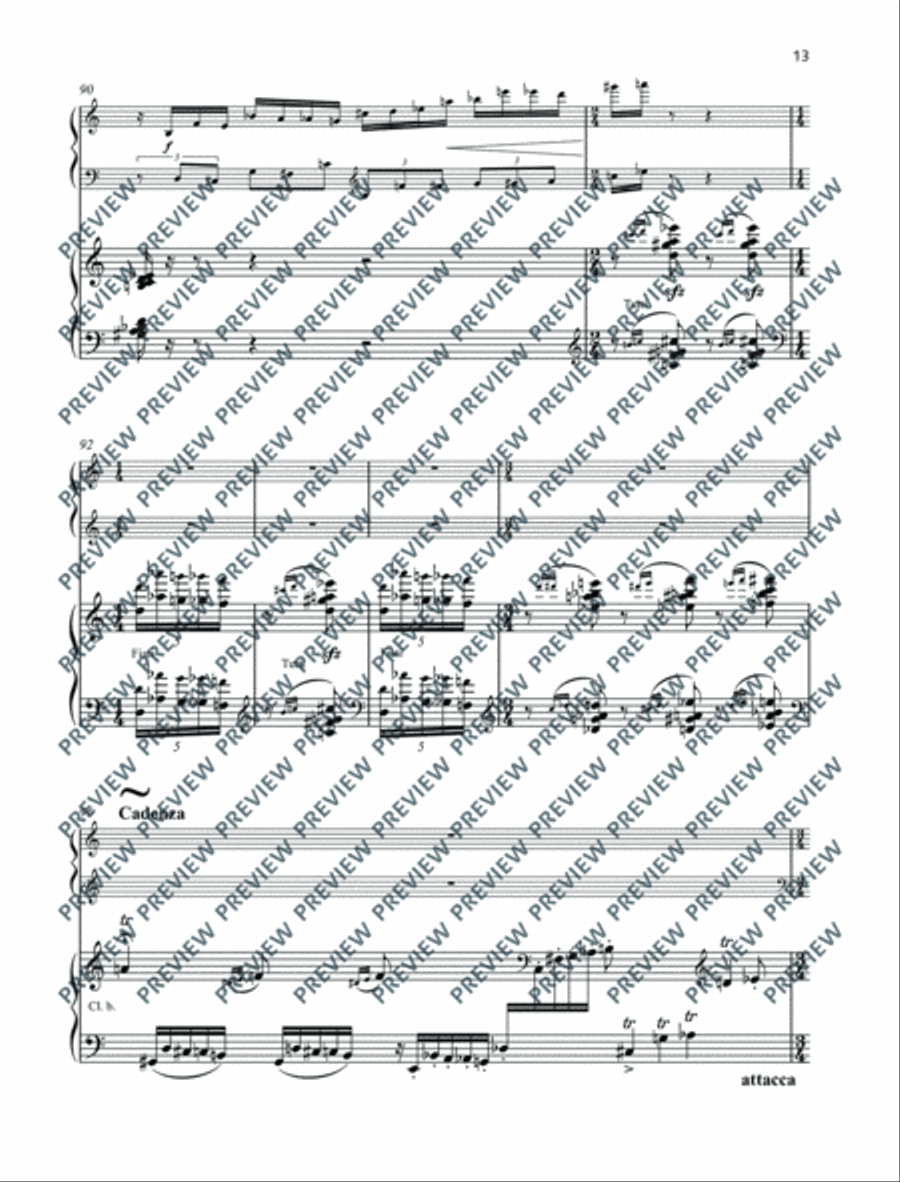 Concerto Piano scores gallery preview page 14