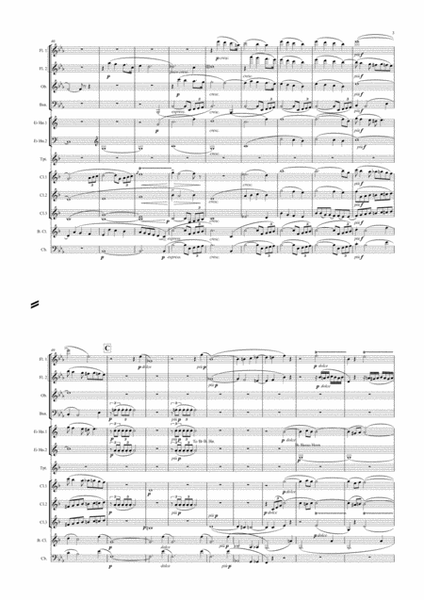 Wagner: Siegfried Idyll arranged symphonic wind ensemble image number null