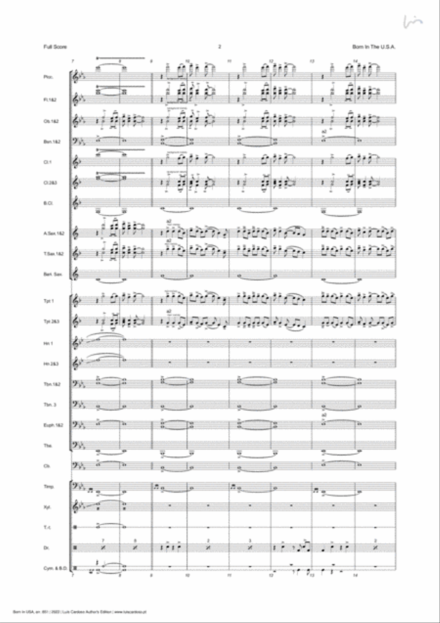 Born In The U.s.a. Concert Band scores gallery preview page 6