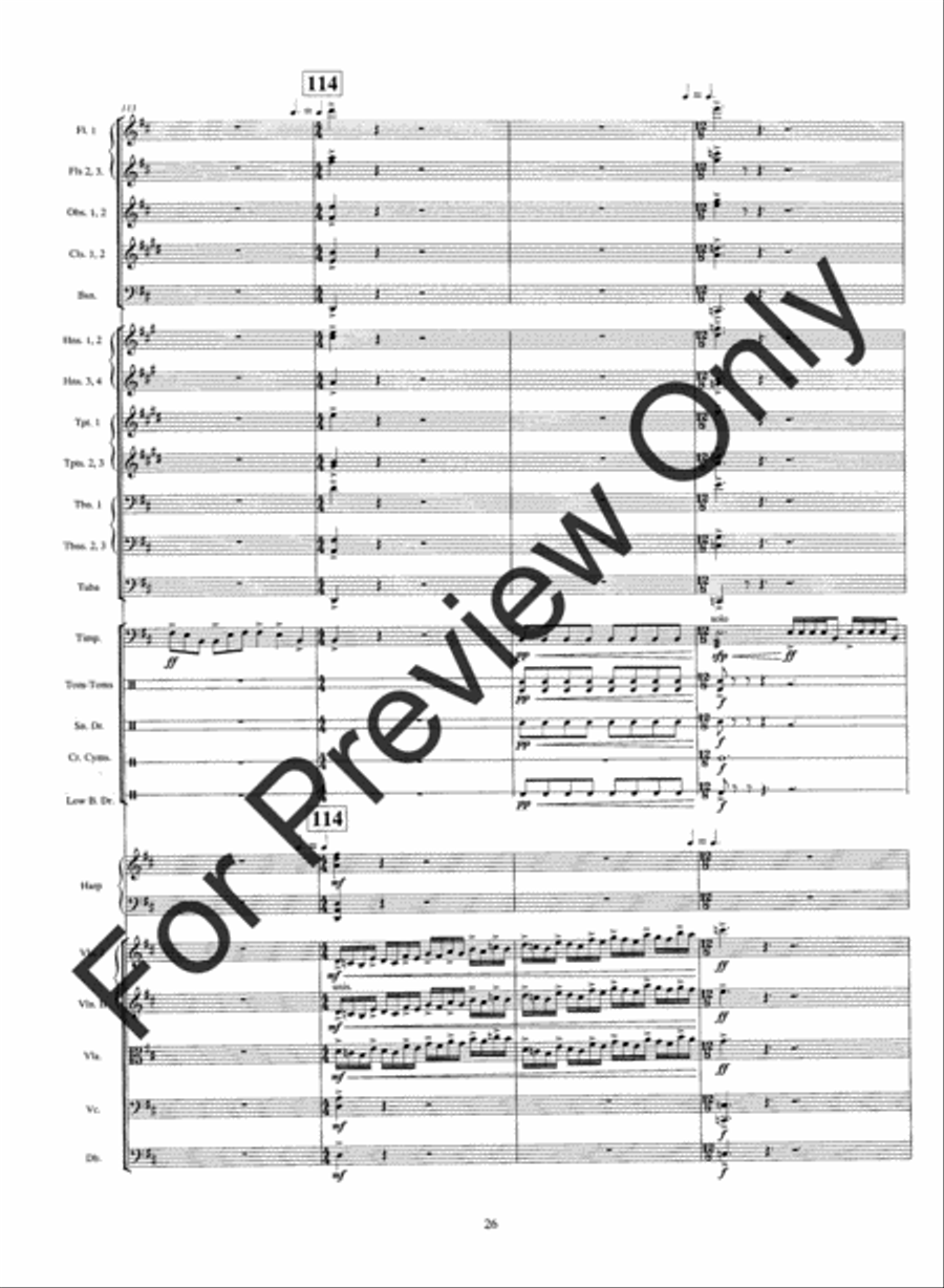 Warrior's Run String Orchestra scores gallery preview page 29