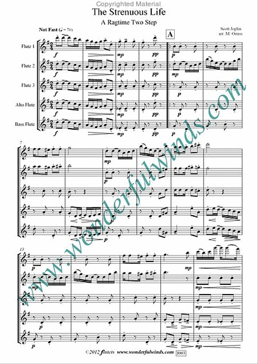 The Strenuous Life Flute scores gallery preview page 2