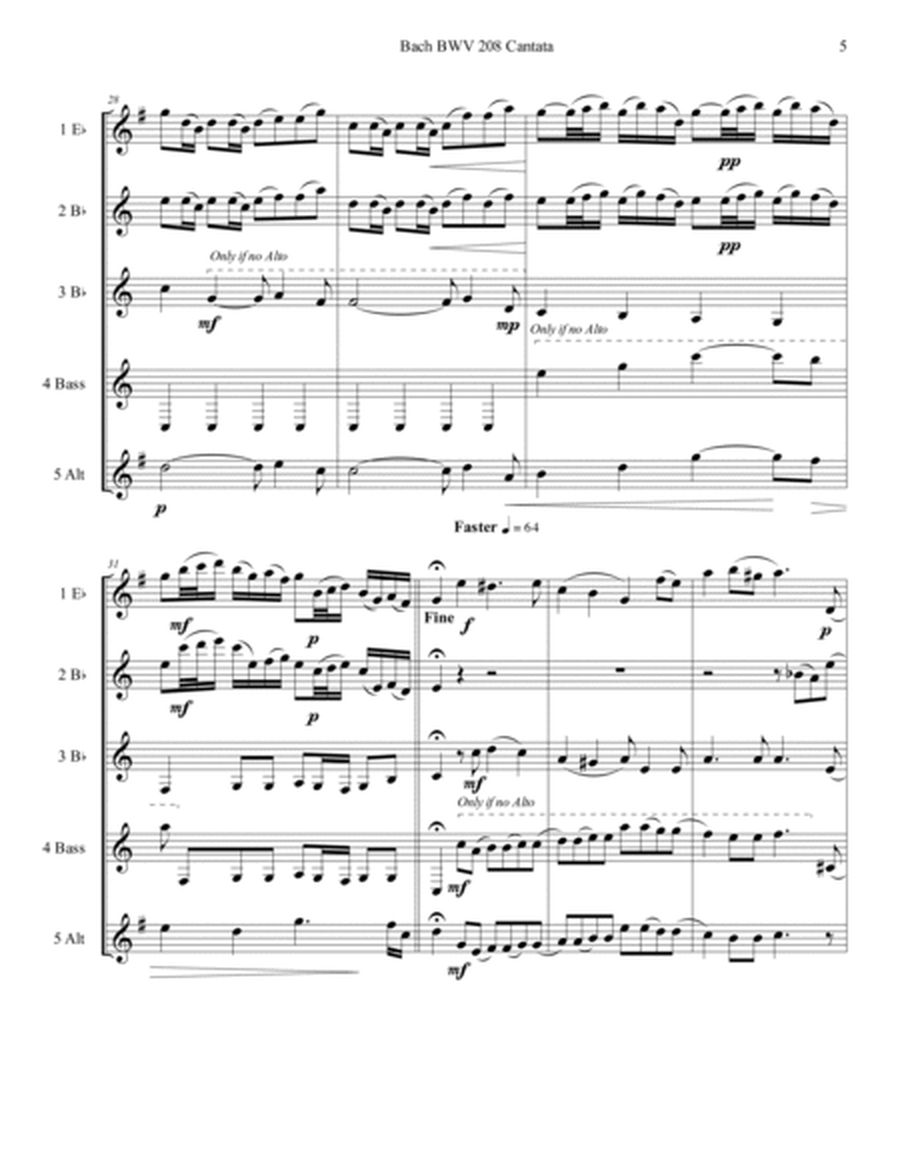 Bach BWV 208 Aria May Sheep Safely Graze Cantata