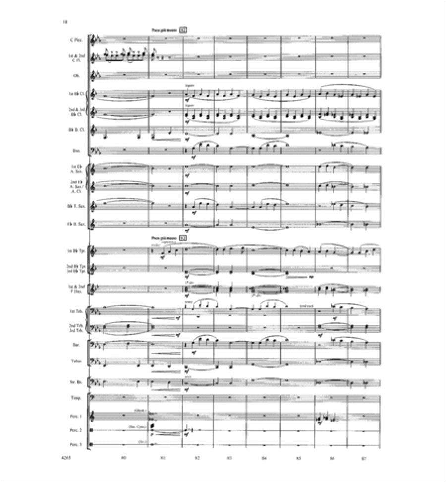 River of Life River of Life Concert Band scores gallery preview page 17