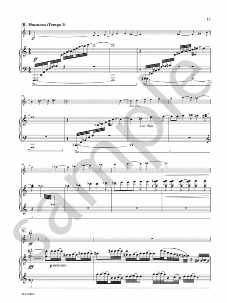 Sonata Sonata Chamber Music scores gallery preview page 9