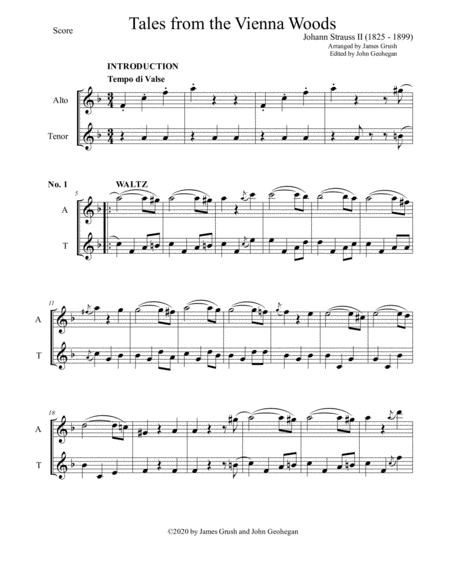 Vienna Woods Waltzes for Recorder Duet and Solo image number null