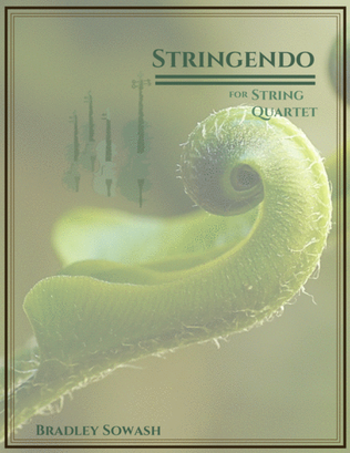 Stringendo - String Quartet
