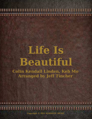 Book cover for Life Is Beautiful