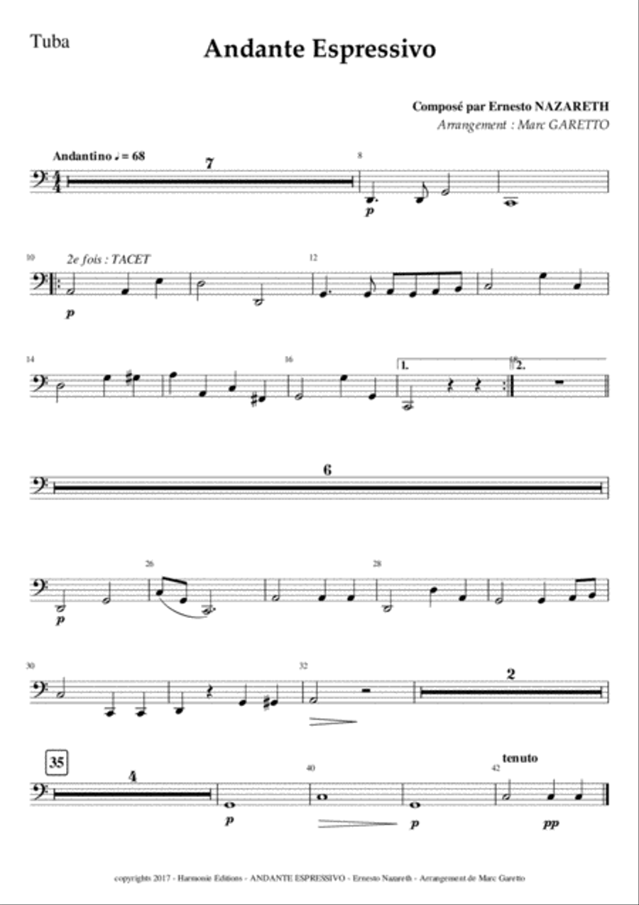 Andante Espressivo - Ernesto NAZARETH - for Chamber Orchestra Chamber Orchestra scores gallery preview page 6