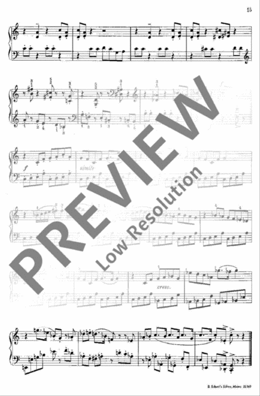 Echoes from a small Town Piano Solo scores gallery preview page 14