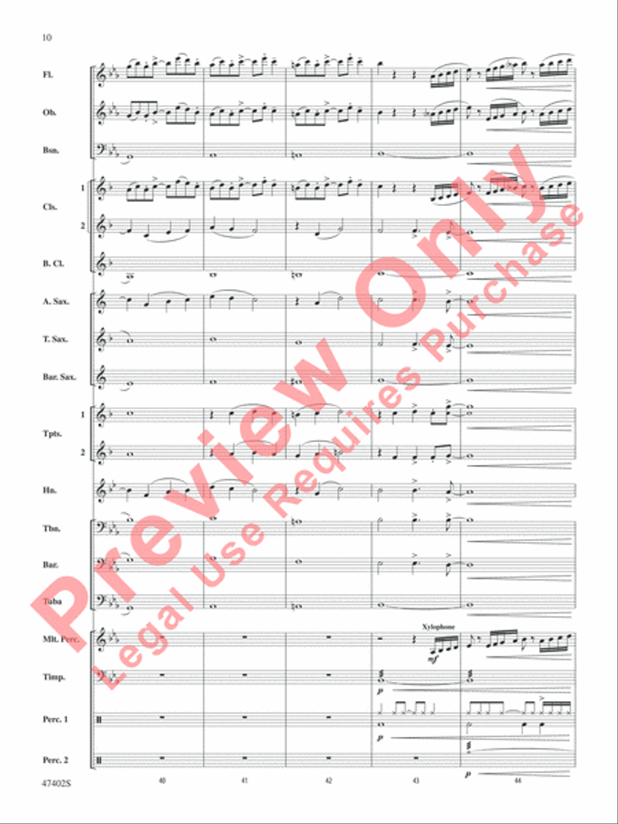 Rhythmicity Rhythmicity Concert Band scores gallery preview page 11
