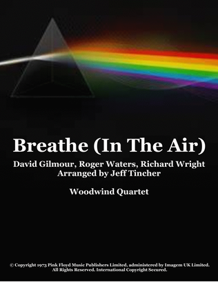 Breathe (in The Air)