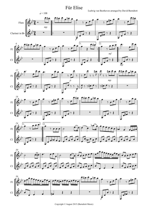 Fur Elise for Flute and Clarinet Duet