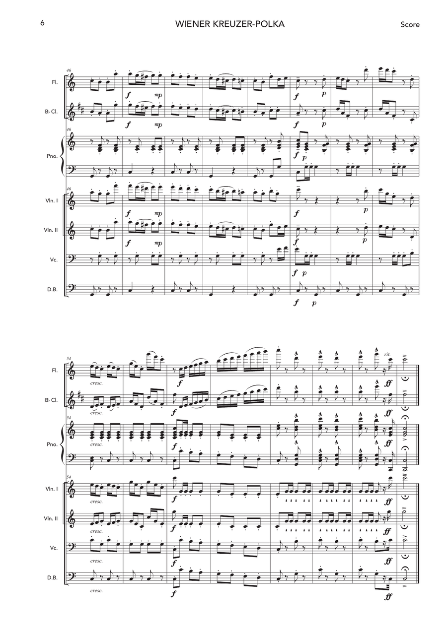Wiener Kreuzer-Polka Chamber Orchestra scores gallery preview page 6