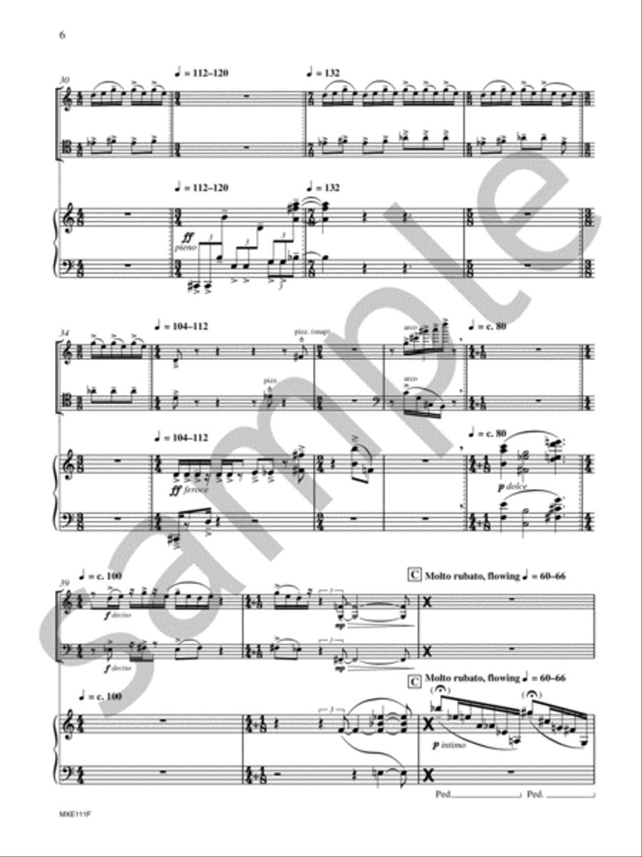 Mother Popcorn Revisited Piano Trio scores gallery preview page 8