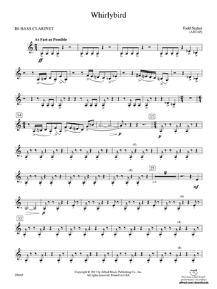 Whirlybird: B-flat Bass Clarinet