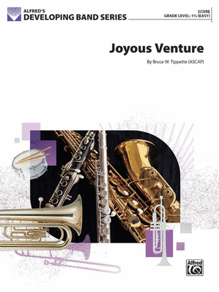 Book cover for Joyous Venture
