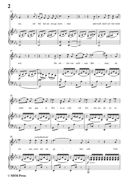 Schubert-Schäfers Klagelied,in c minor,Op.3,No.1,for Voice and Piano image number null