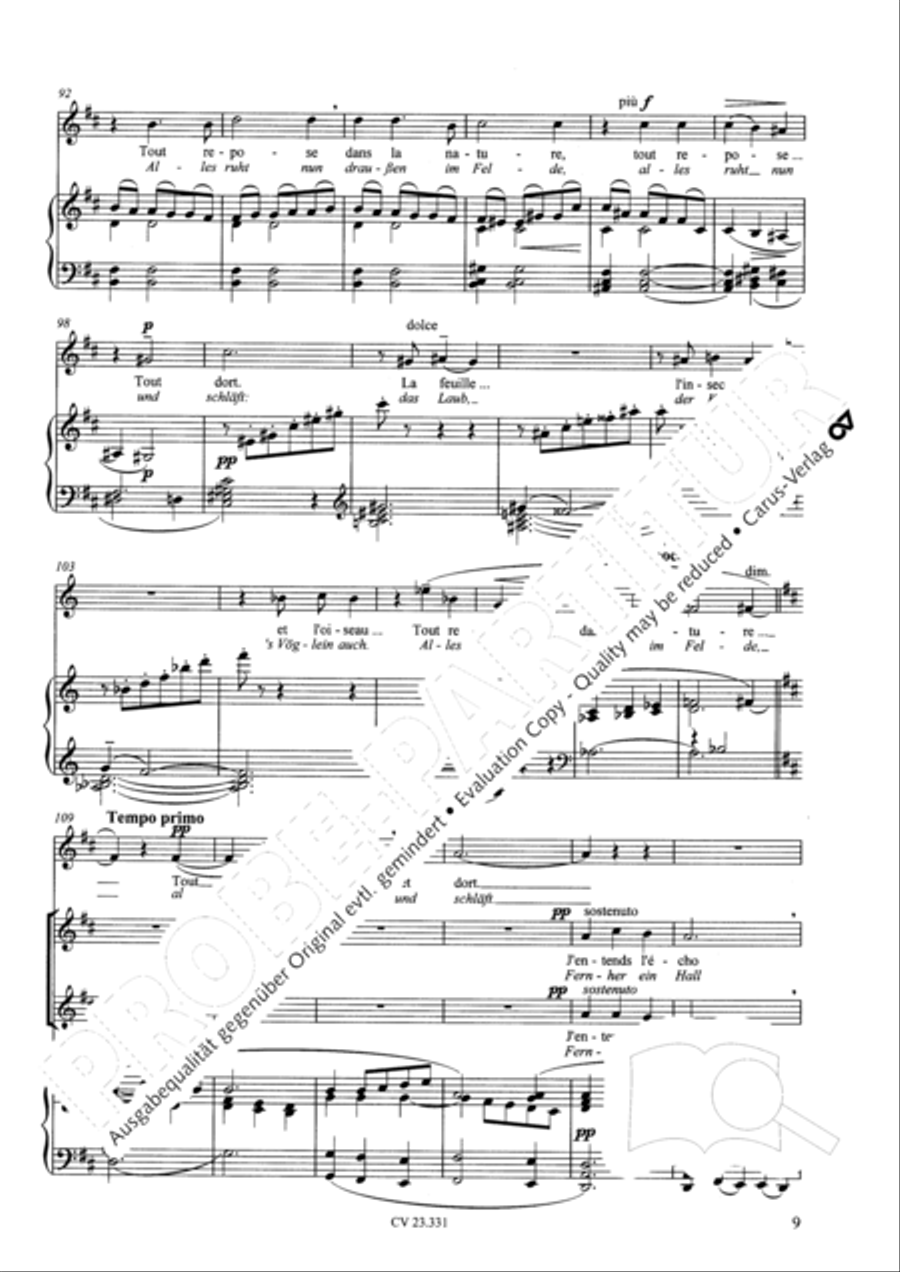Noel (Weihnachtslied; Steigt auf zu Gott) SA scores gallery preview page 10