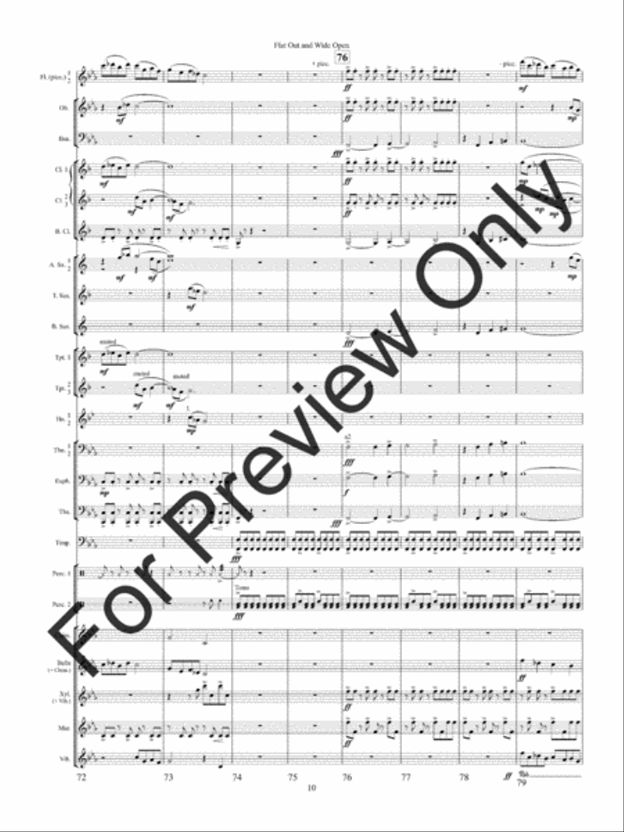 Flat Out and Wide Open Concert Band scores gallery preview page 13