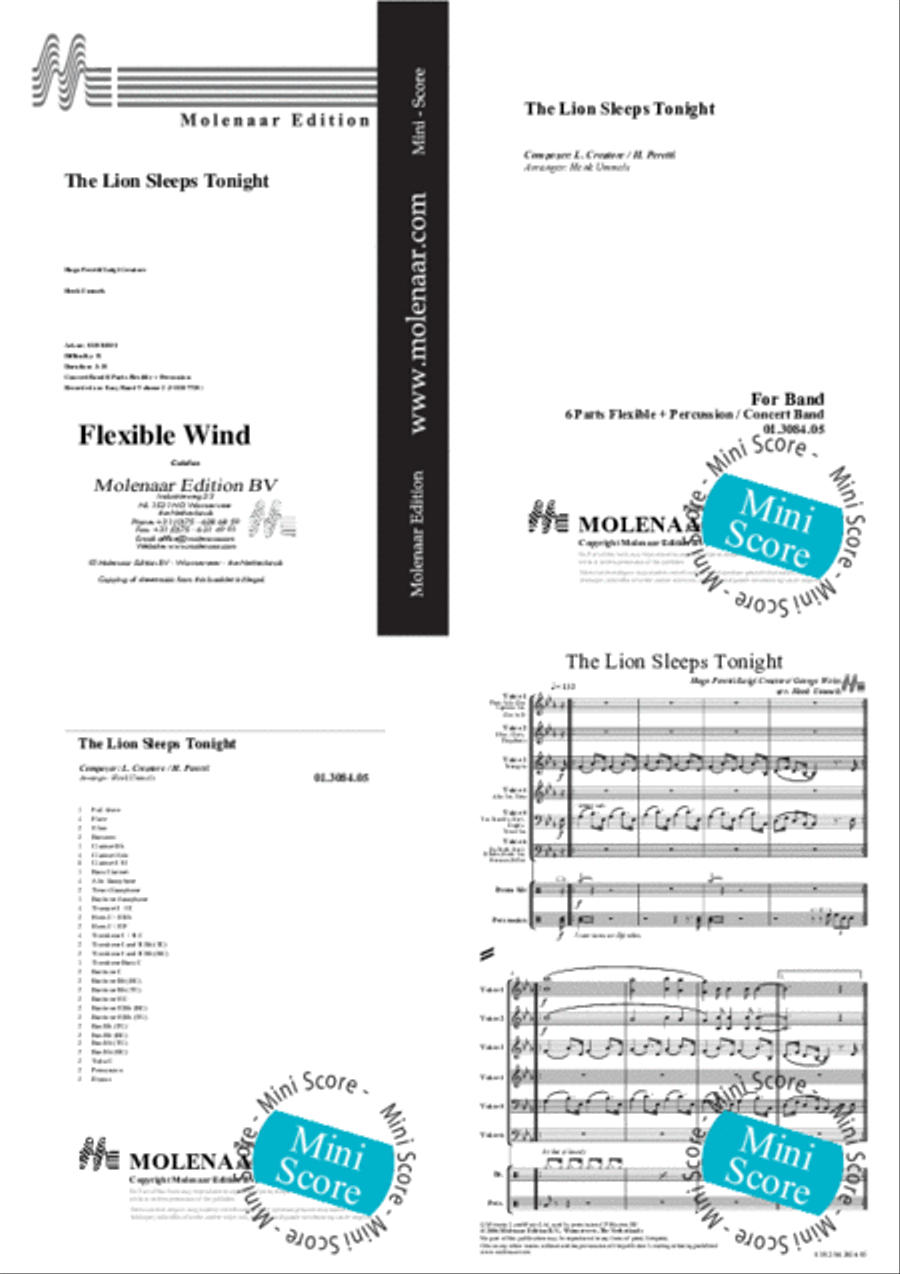 The Lion Sleeps Tonight Concert Band scores gallery preview page 2