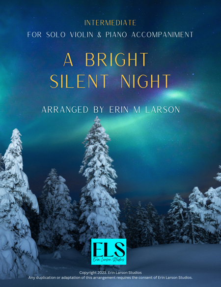 A Bright Silent Night image number null