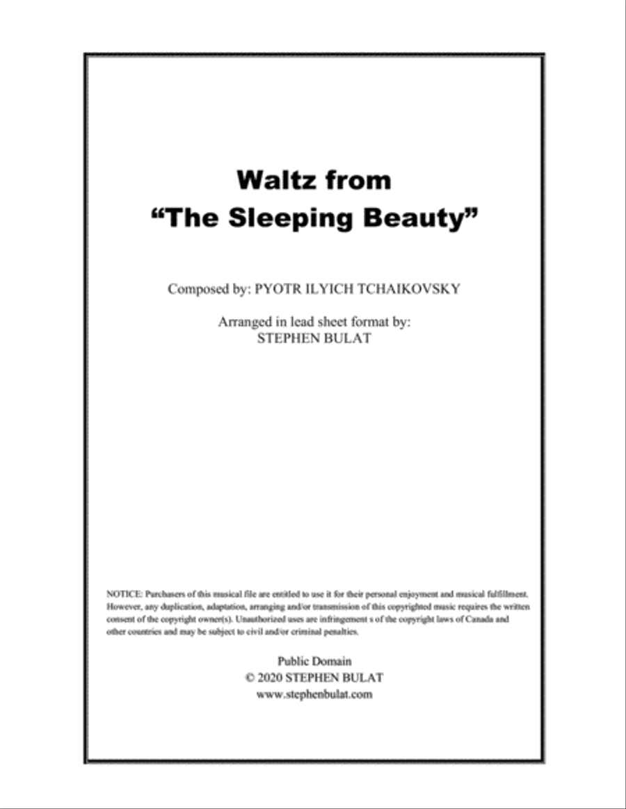 Book cover for Sleeping Beauty Waltz (Tchaikovsky) - Lead sheet (key of E)