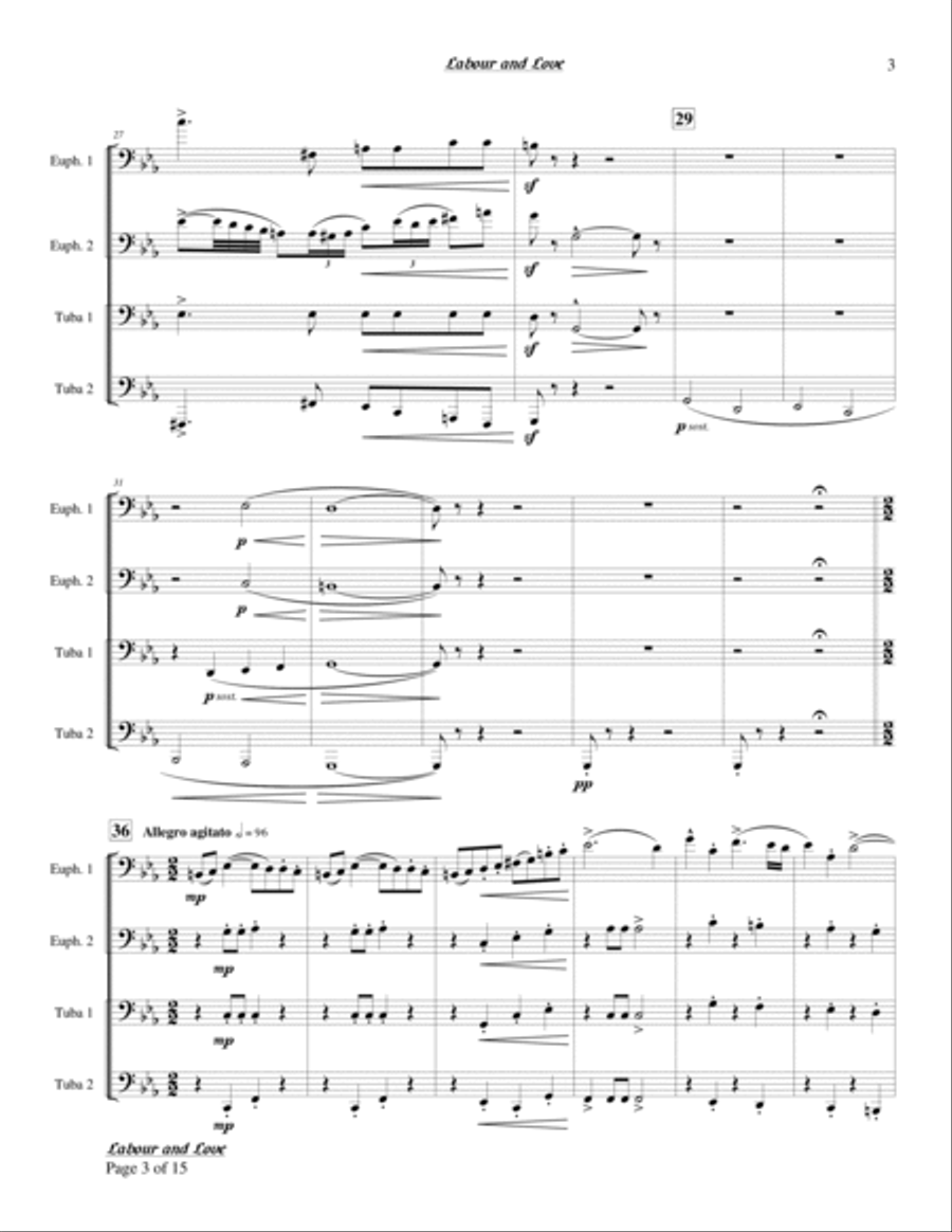 Labour and Love Chamber Music scores gallery preview page 3