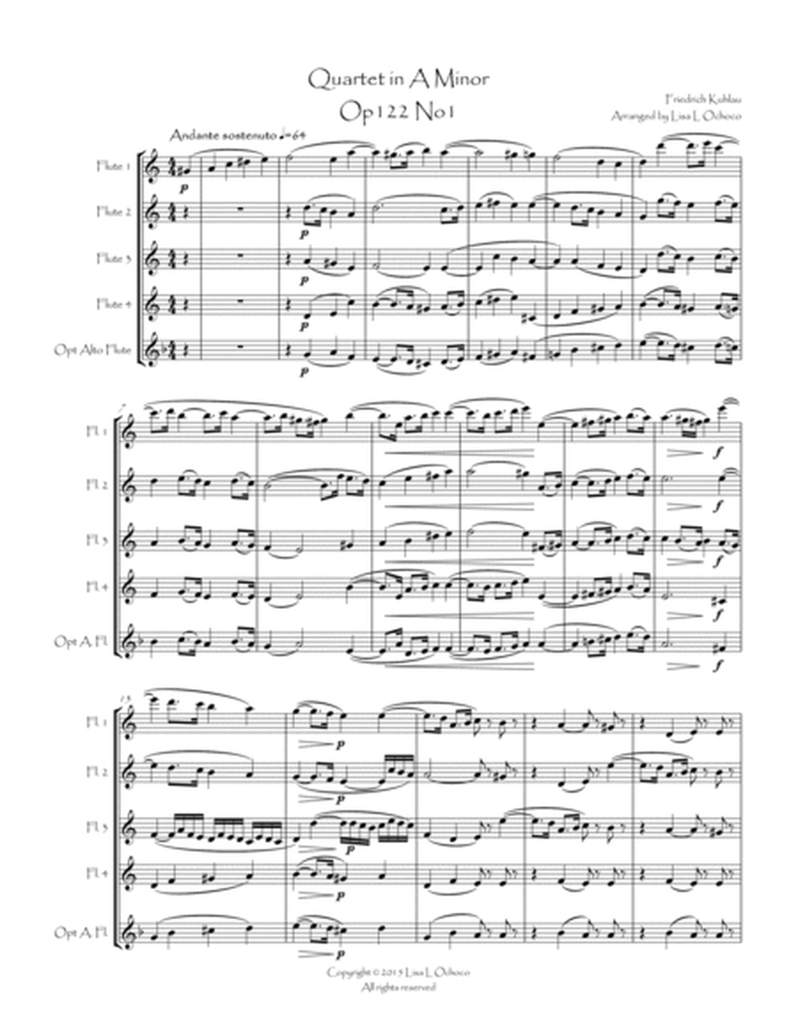 Quartet in A Minor Op122 No1 for Flute Quartet image number null