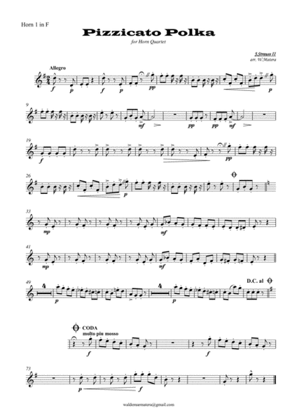 J. Strauss II - Pizzicato polka for Hron Quartet