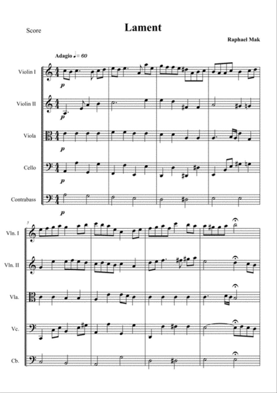 Lament, op. 4 Lament, op. 4 String Orchestra scores gallery preview page 3