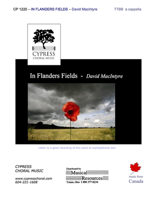 Book cover for In Flander's Fields