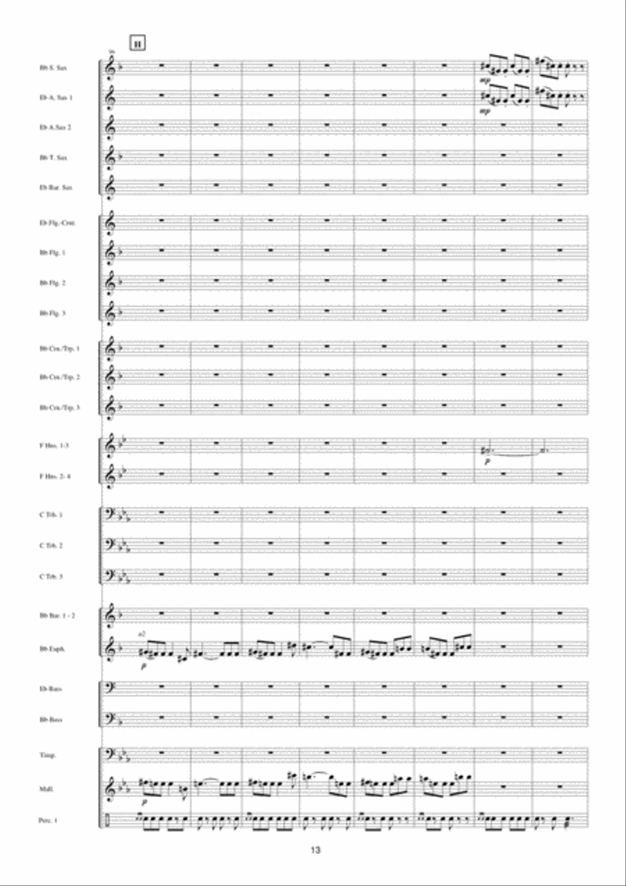 Police Academy Fanfare Band scores gallery preview page 14