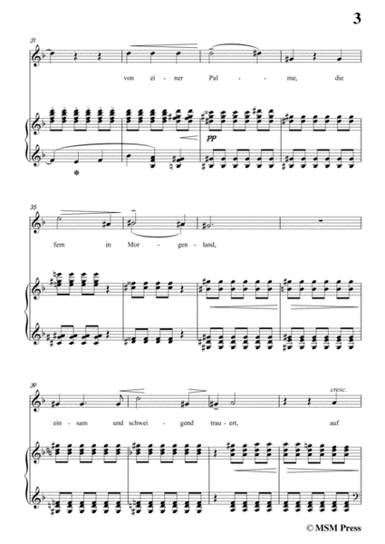 Liszt-Ein fichtenbaum stent einsam in d minor,for Voice and Piano image number null