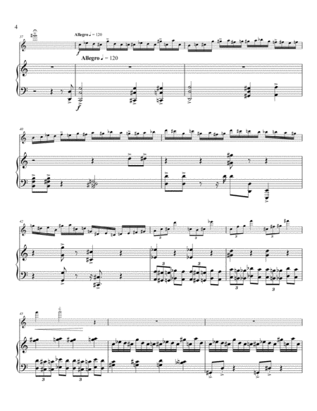 Fantasie for Flute and Piano