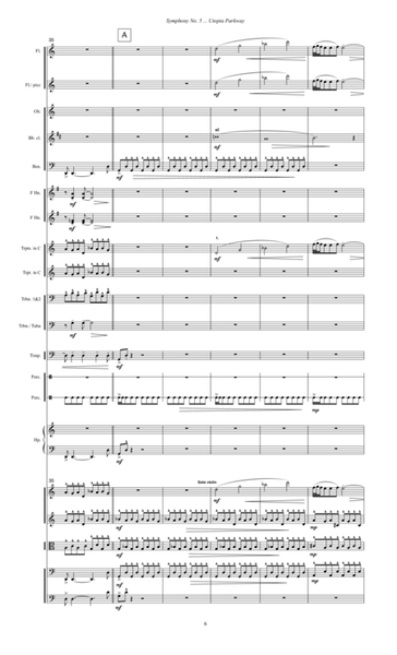 Symphony No. 5 ... Utopia Parkway (2003) 1st movement, allegro marcato image number null