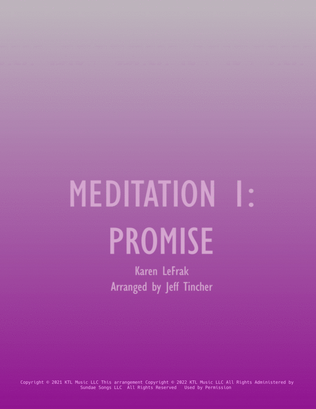 Book cover for Meditation 1: Promise