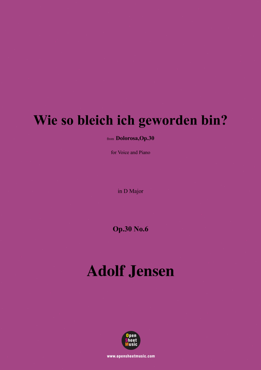 A. Jensen-Wie so bleich ich geworden bin?,Op.30 No.6,in D Major Voice scores gallery preview page 1