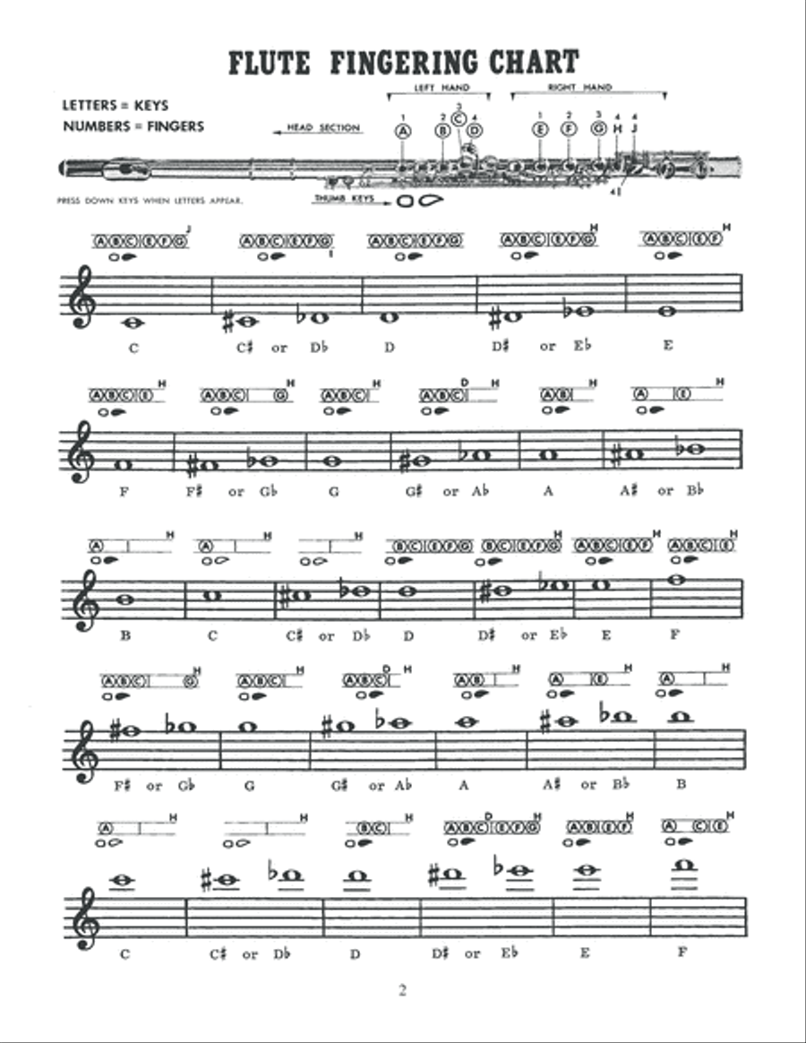 Easy to Play Flute Solos Easy to Play Flute Solos Flute Solo scores gallery preview page 3