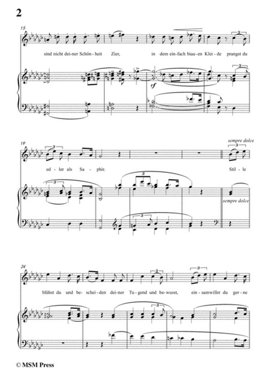 Liszt-Das veilchen in G flat Major,for Voice and Piano image number null