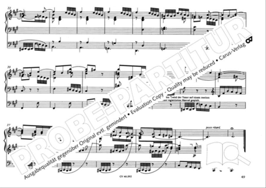 Free Organ Music from the Romantic Period, Vol. II (Freie Orgelmusik der Romantik, Band II) Organ scores gallery preview page 50