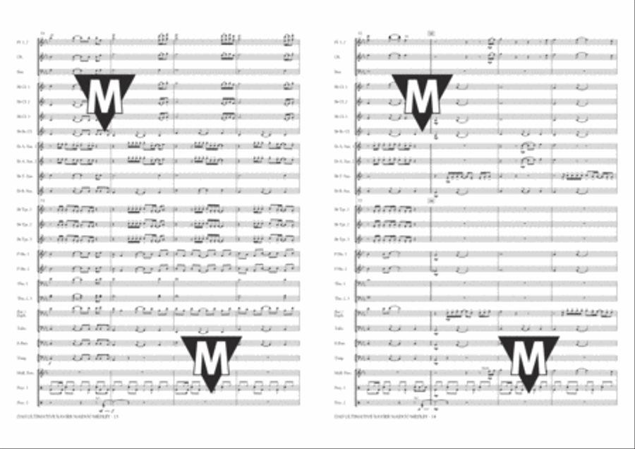 Das Ultimative Xavier Naidoo Medley Concert Band scores gallery preview page 8