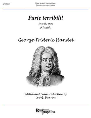 Book cover for Furie terribili!