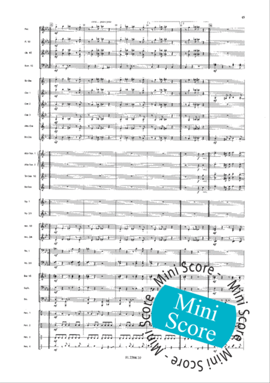 Os Passaros Do Brasil Concert Band scores gallery preview page 53