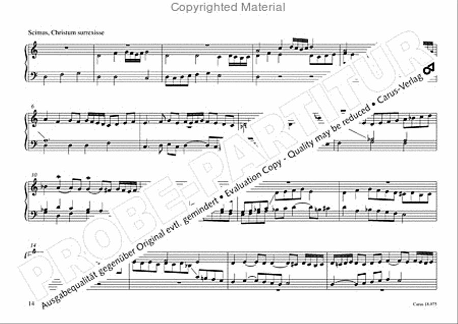 Freiburger Orgelbuch: Stammteil Organ Solo scores gallery preview page 15