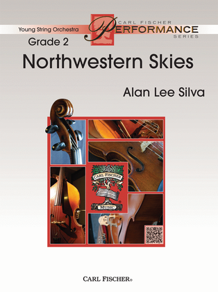 Book cover for Northwestern Skies