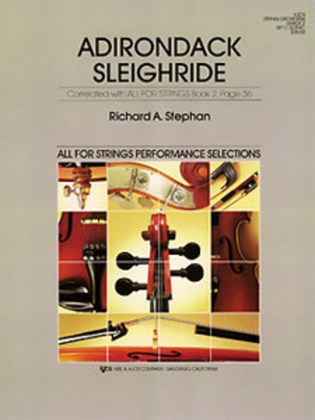 Book cover for Adirondack Sleighride